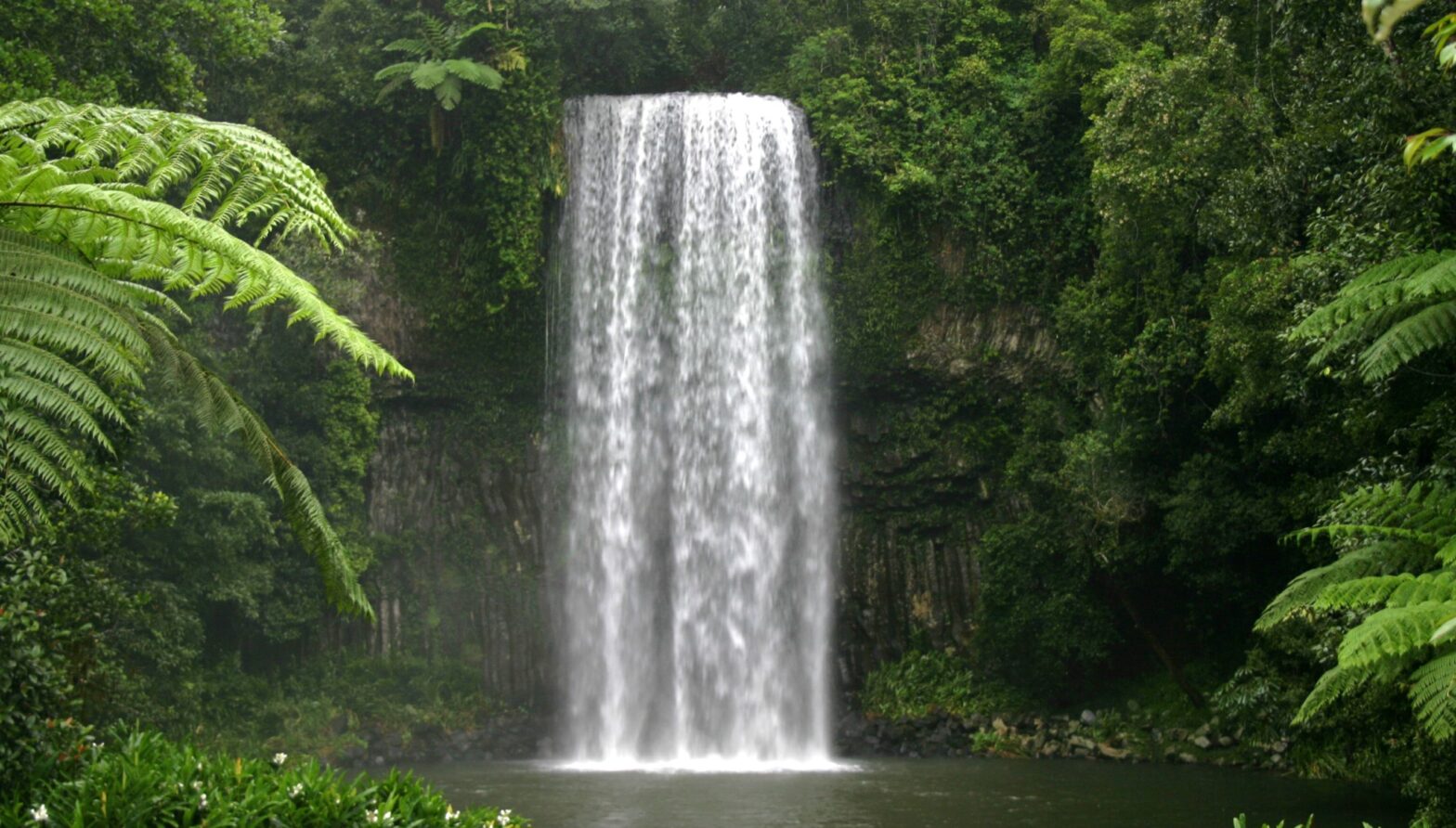 Amazing rainforest lakes and waterfalls on the Atherton Tablelands